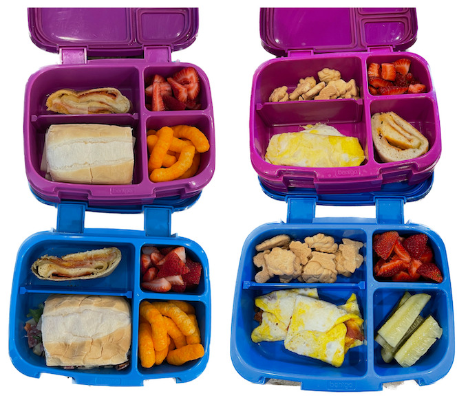 Cold Lunch Ideas For Kids 6 cold lunches - chopped Italian sandwiches and egg wraps